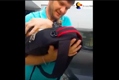 Screen Shot 2018 08 20 At 1.42.27 Am