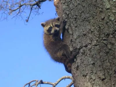 Screen Shot 2018 09 03 At 2.24.31 Pm