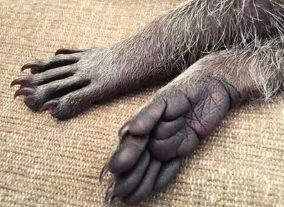 Screen Shot 2018 09 03 At 2.25.15 Pm