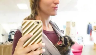 Screen Shot 2018 09 03 At 2.27.54 Pm