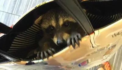 Screen Shot 2018 09 03 At 2.28.42 Pm