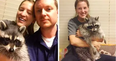 Screen Shot 2018 09 03 At 2.32.14 Pm