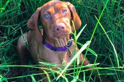 Screen Shot 2018 09 03 At 2.33.04 Pm