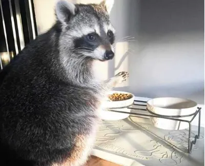 Screen Shot 2018 09 03 At 2.34.49 Pm