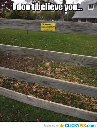 Funny Dont Believe You