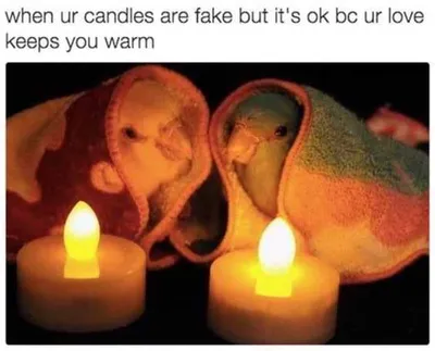 Funny Wholesome Love