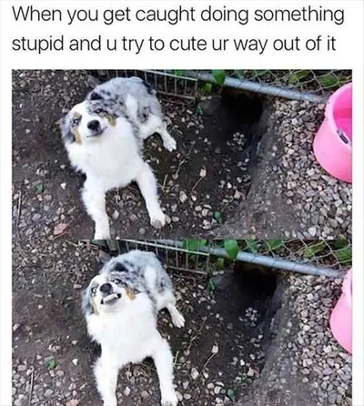 Funny Cute Out Of It