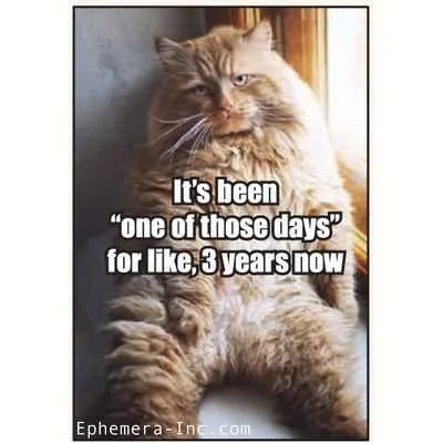 Funny One Of Those Days