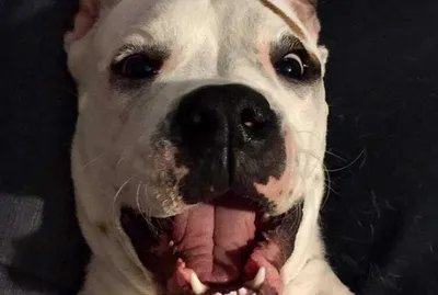 Sam 1 Hendrick And Co