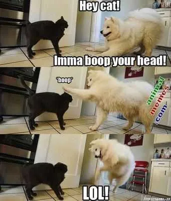 Funny Boop
