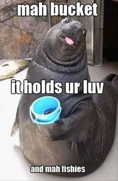 Funny Bucket Love