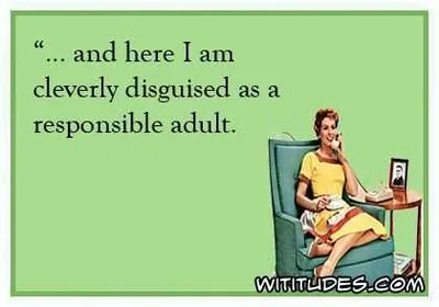 Funny Cleverl Disguise