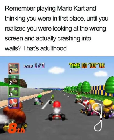 Funny Meme Adulthood