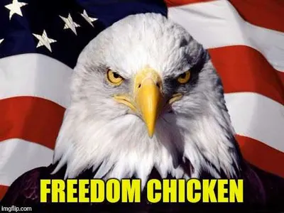 Animal Freedom Chicken