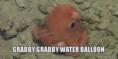 Animal Grabby Water Balloon