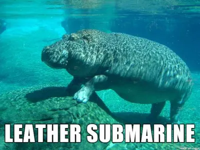 Animal Leather Submarina