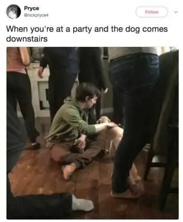 Funny Introvert Downstairs