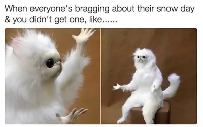 Funny Everybody Bragging