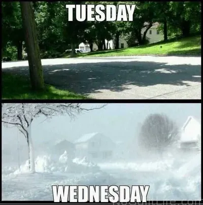 Funny Tuesday Monday