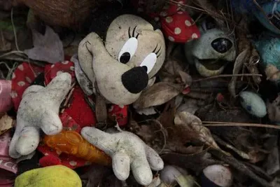 Decluttering And Diy Toilet Paper  Discarded Stuffed Toys