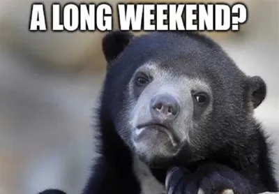 Easter Long Weekend Quarantine Meme  A Long Weekend Meme You Don't Expect