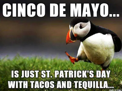 Cinco De Mayo Memes  Cinco De Mayo Meme Showing The Similarities Between Cinco De Mayo And St. Patrick's Day