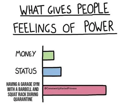 Feeling Of Power By Having Garage Gym Meme