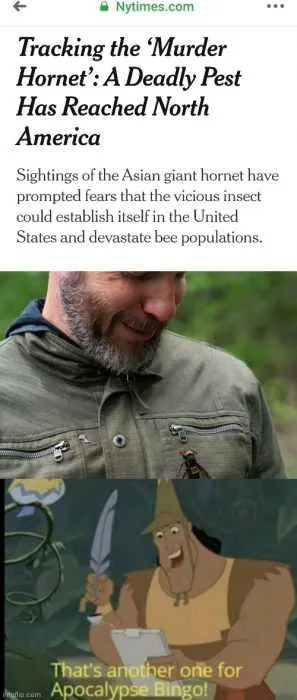 Meme Featuring Someone Playing Apocalypse Bingo With Murder Hornet Being The Last Number