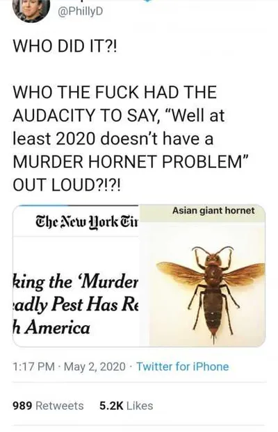Meme Featuring Someone Asking Who Said At Least 2020 Doesn't Have A Murder Hornet Problem Out Loud