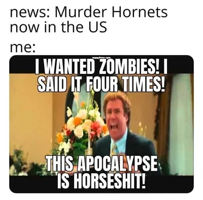 Murder Hornet Meme Featuring Will Ferrel Wanting Zombies And Not Hornets