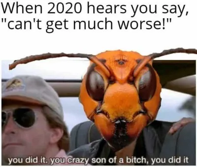 Meme Featuring 2020 Hearing Someone Saying It Can't Get Much Worse