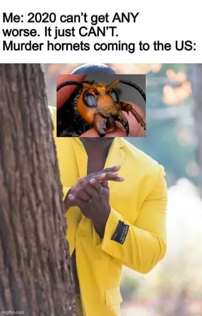 Meme Featuring Someone Saying 2020 Can't Get Worse And Murder Hornets Coming To Us