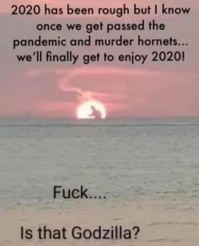 Meme Showing Once Pandemic And Murder Hornets Are Done, We Can Enjoy 2020