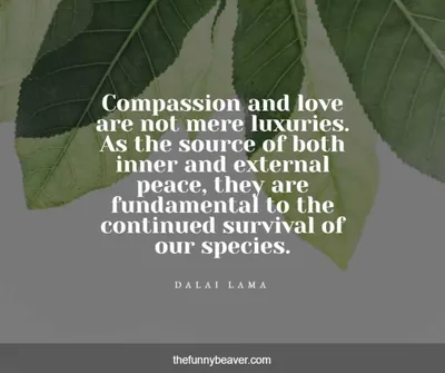 Peace Continued Survival