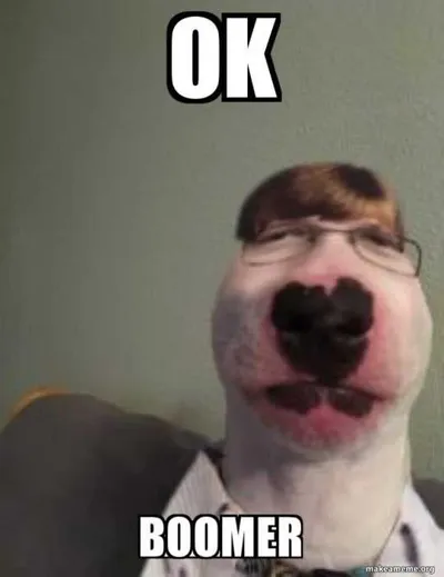Typical Ok Boomer Meme To Respond To Any Criticisms From Older People