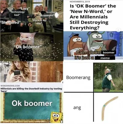 Meme Comparing Ok Boomer To NWord