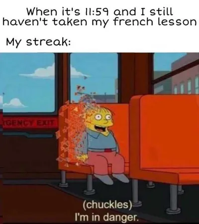 Duolingo Worried Meme