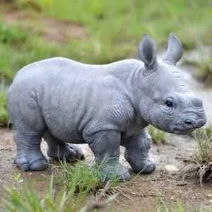 98Fdfba3Be697Fafa5D730B4C8363F62 Cutest Baby Animals Baby Rhino