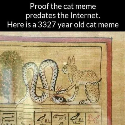 Animal Memes Funny Af  Oldest Cat Meme