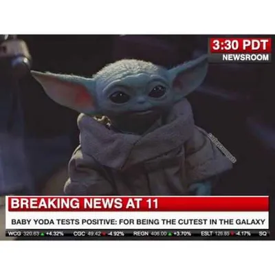 Yoda Cutest