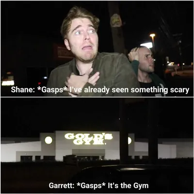 Funny Gym Memes  Gold's Gym