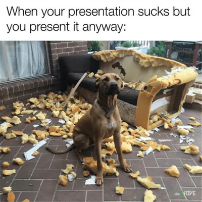 Funny Dogs And Cats Pictures  Presentation Eaten By Dog... Honest