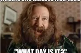 Work From Home Memes