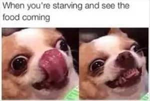 3Cb92726Ea58D38409F021B01522Bedc Relatable Hungry Memes Finally Here