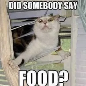 Did-Somebody-Say-Food-Funny-Meme-Picture-600X600 Relatable Hungry Memes Food!