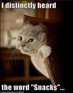 I-Distinctly-Heard-The-Word-Snacks-Funny-Hungry-Meme Relatable Hungry Memes Snacks