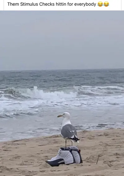 Beach Memes  Nice Kicks