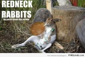 Funny Dirty Easter Memes