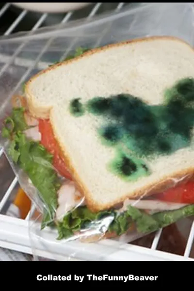 Funny April Fools Jokes For Kids  Green Never Hurt