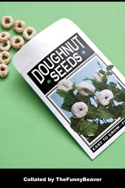 Funny April Fools Jokes For Kids  Plant And Wait